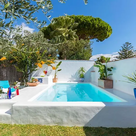 La Ballena Azul Conil