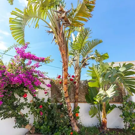 Tatil Evi La Ballena Azul Conil Cadiz