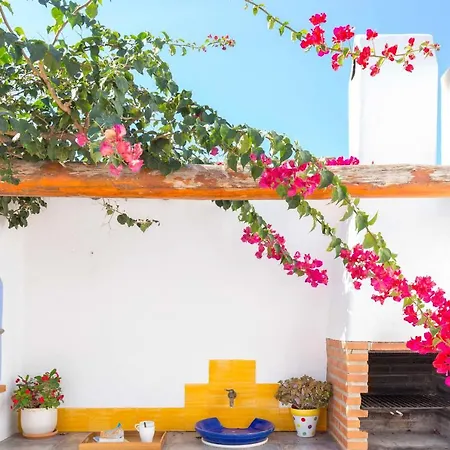 La Ballena Azul Conil بيت للعطل