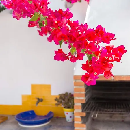 La Ballena Azul Conil Holiday home