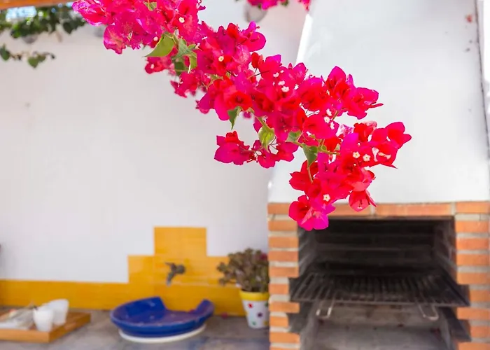 La Ballena Azul Conil Holiday home