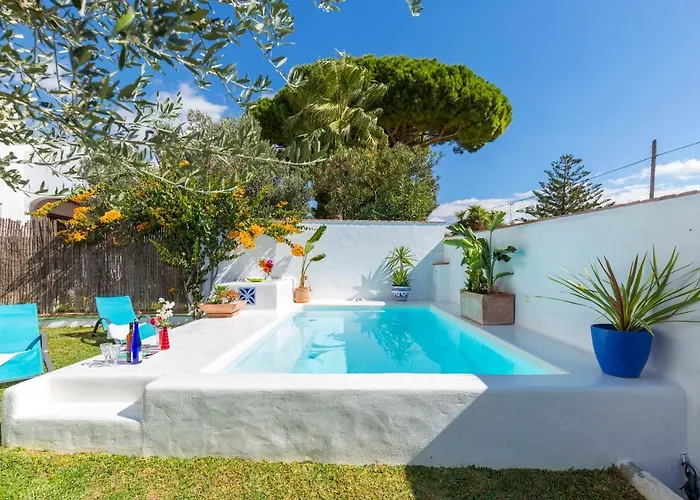 La Ballena Azul Conil