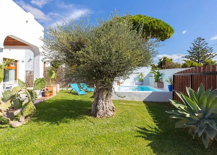 La Ballena Azul Conil Cadiz